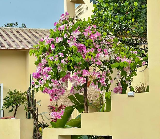 北海亲子游5天4晚价格跟团五日游报价新葡京网上赌场北海亲子跟团游多少钱?(图6) 北海亲子游5天4晚价格跟团五日游报价新葡京网上赌场北海亲子跟团游多少钱?(图6)