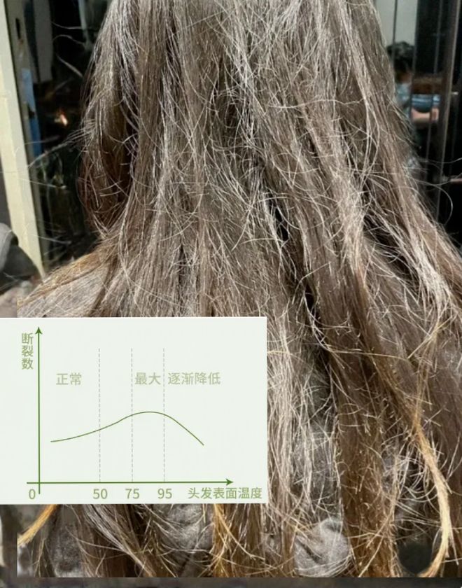 的吹风机就不配有一头秀发了？澳门新葡京入口用不起好几千(图4)